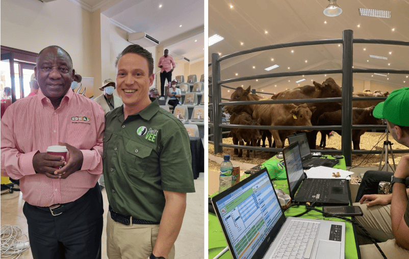 Online Auction Advertising